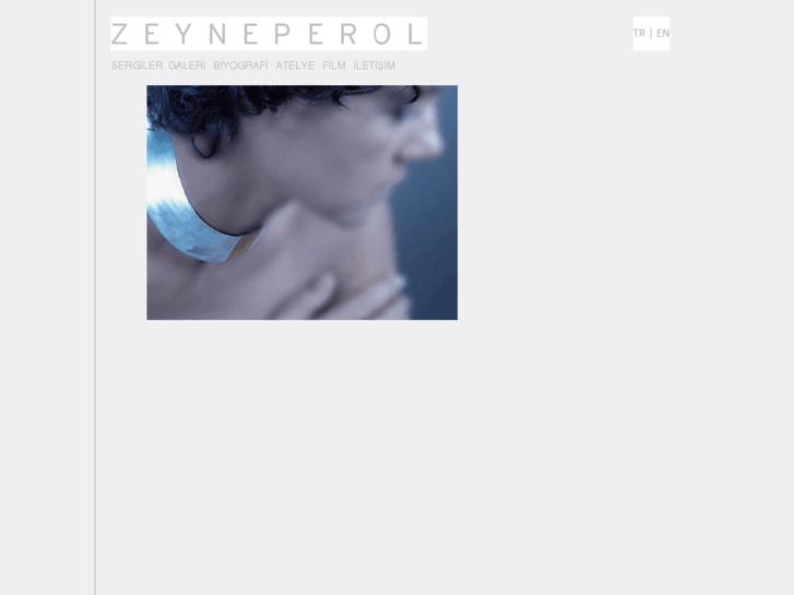 www.zeyneperol.net