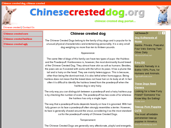 www.chinesecresteddog.org