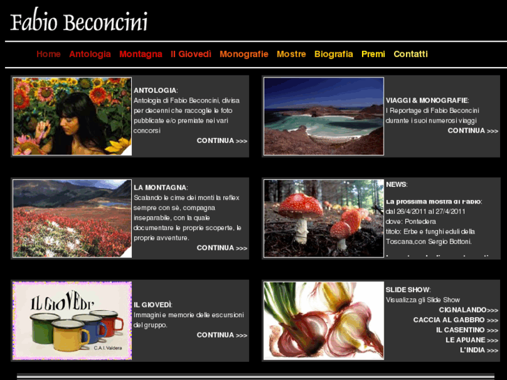 www.fabiobeconcini.com