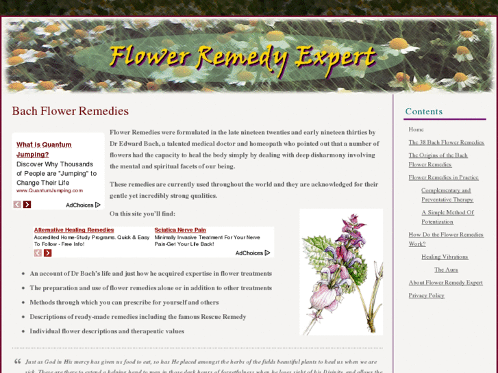 www.flowerremedyexpert.com