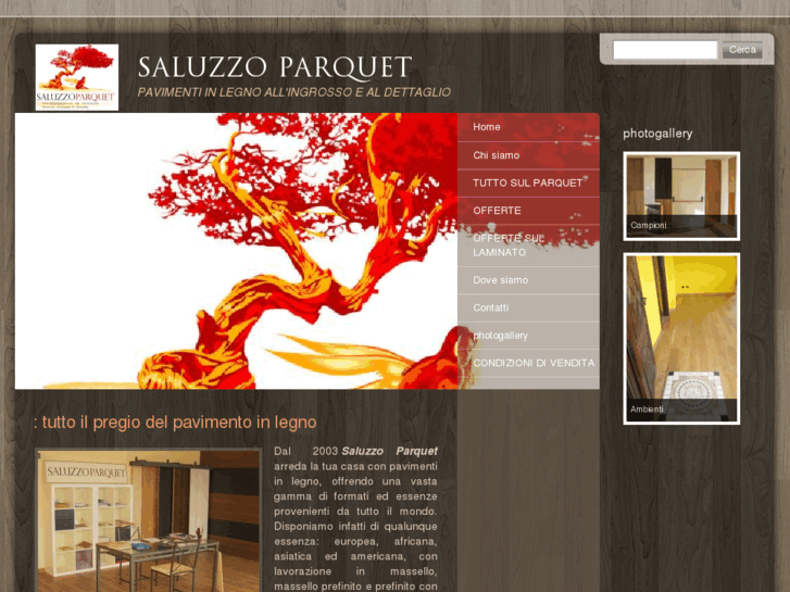 www.saluzzoparquet.com