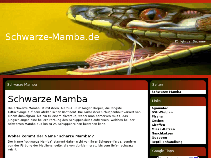 www.schwarze-mamba.de