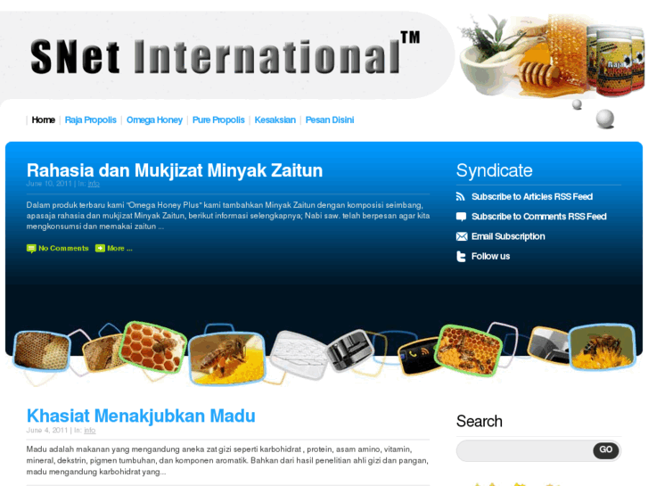 www.snet-intl.com