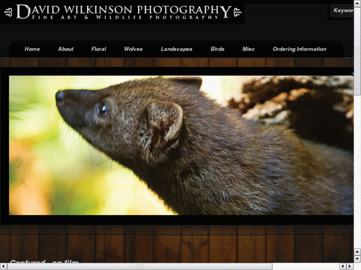 www.davidwilkinsonphotography.com