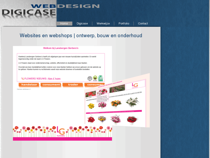 www.digicase-webdesign.nl