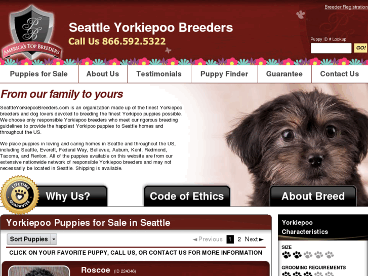 www.seattleyorkiepoobreeders.com