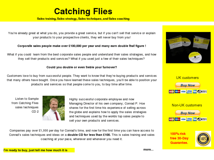 www.catching-flies.com