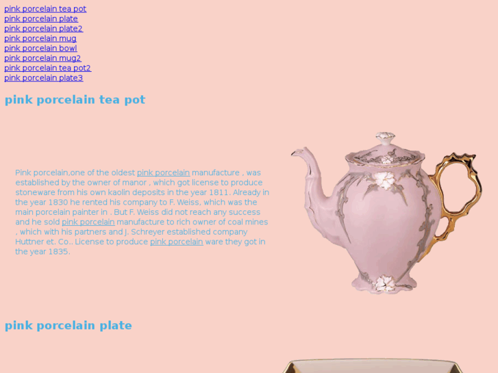 www.pinkporcelain.com