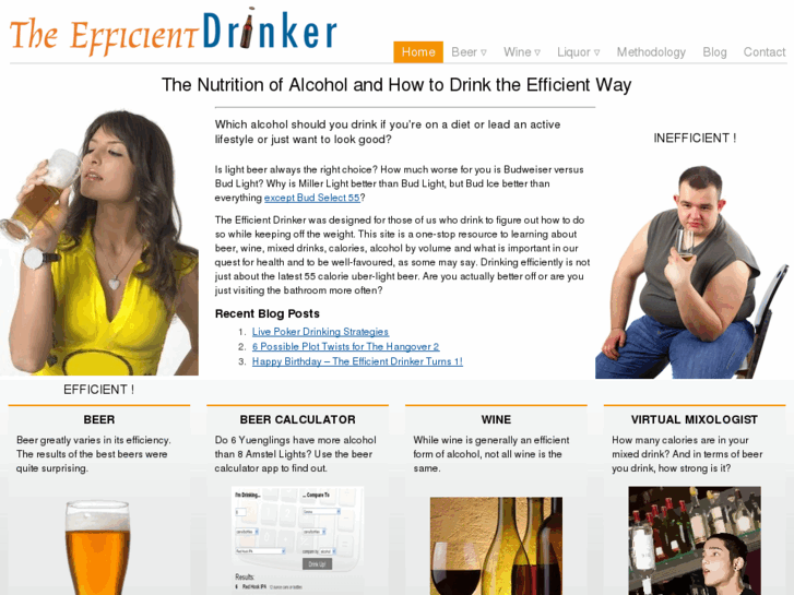 www.theefficientdrinker.com