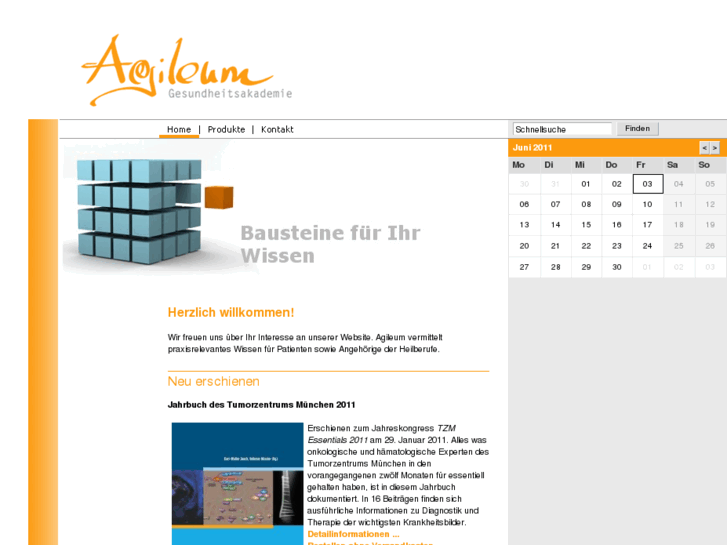 www.agileum.de