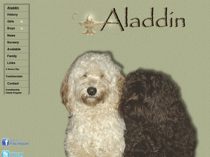 www.aladdinlabradoodles.com