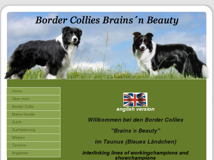 www.border-collies-brains-n-beauty.com