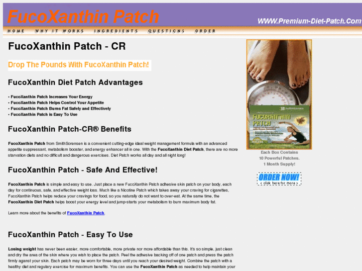 www.premium-diet-patch.com