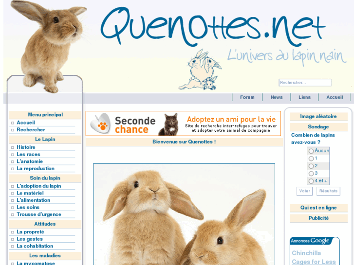 www.quenottes.net