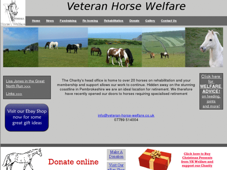 www.veteran-horse-welfare.co.uk