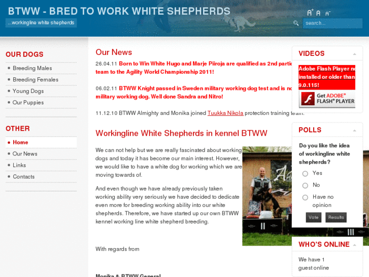 www.workingwhiteshepherds.com