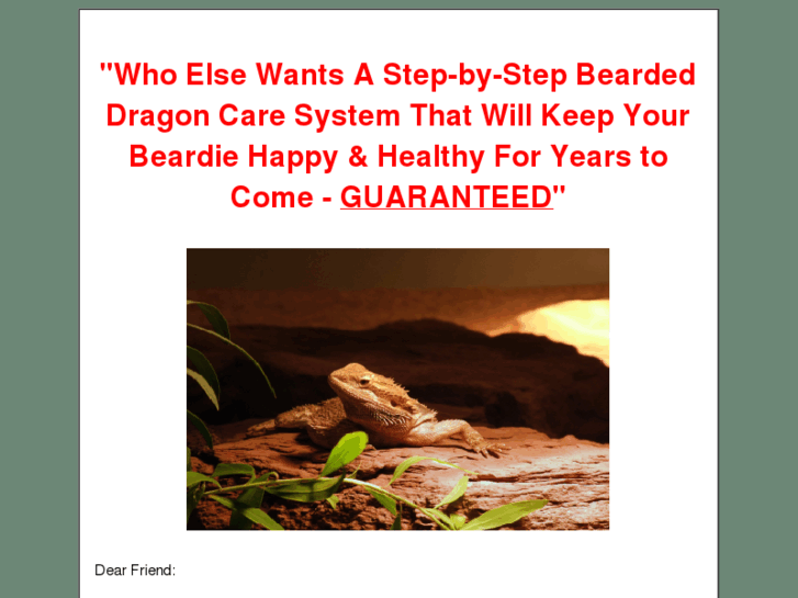 www.beardeddragoncenter.com