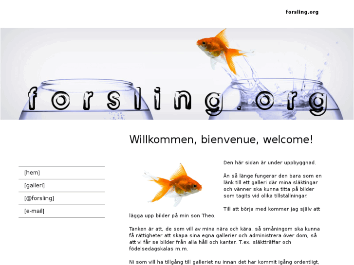 www.forsling.org