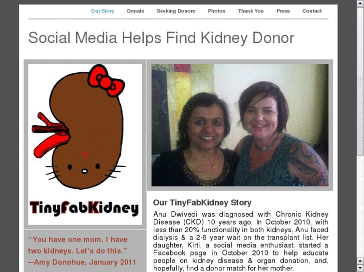 www.tinyfabkidney.com