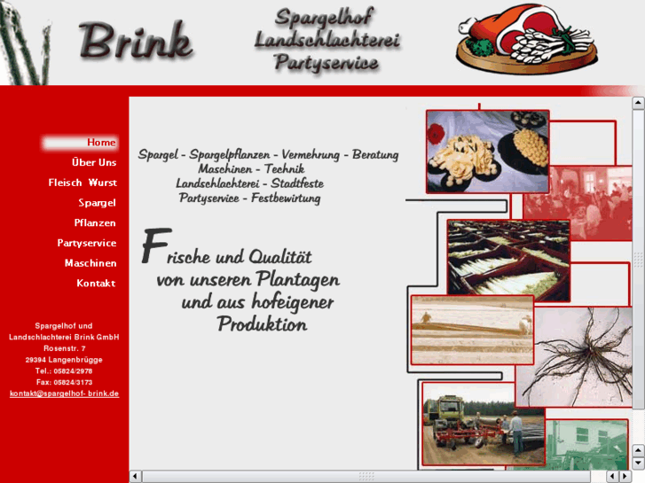 www.brink-gmbh.de