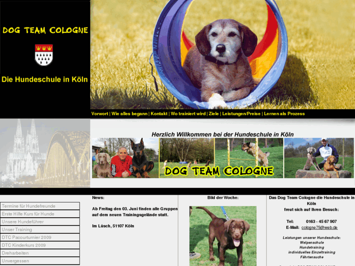 www.dog-team-cologne.de