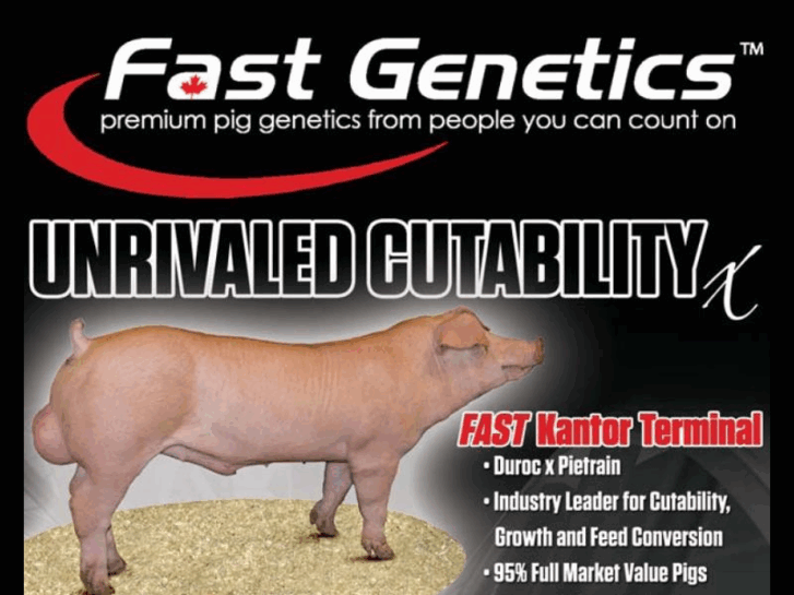 www.fastgeneticsusa.com