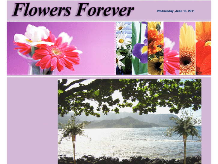 www.flowersforeverhawaii.com