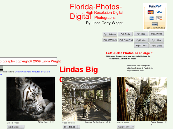 www.lindasfloridaphotos.com