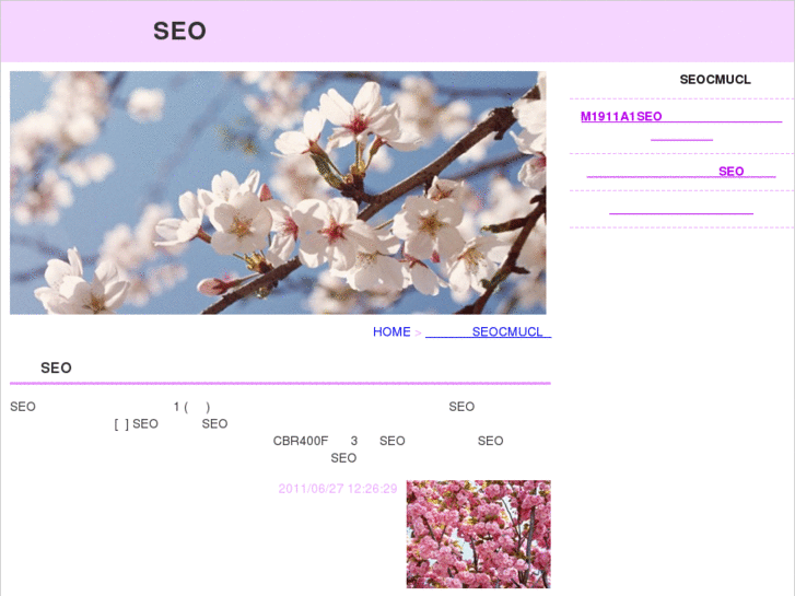www.lurvbma.net