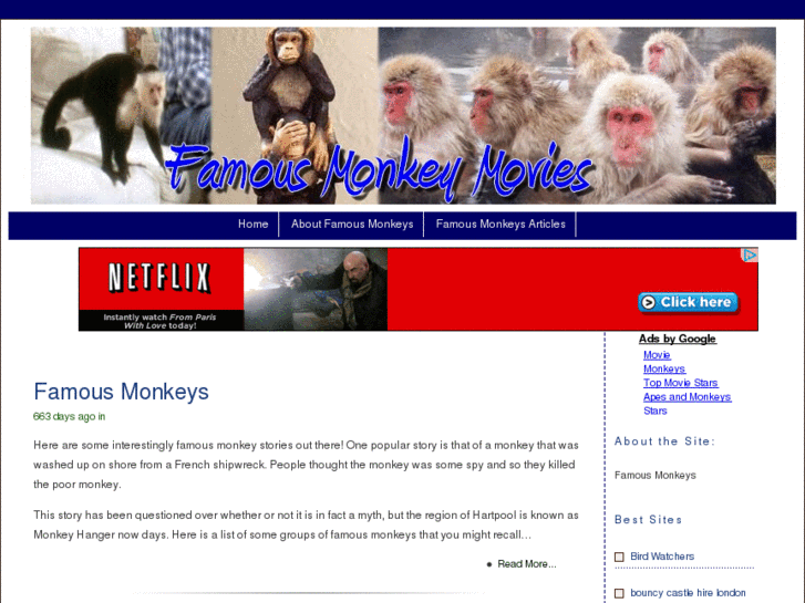 www.monkeysmaskmovie.com