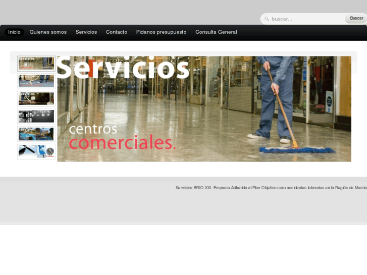 www.serviciosbrio21.es