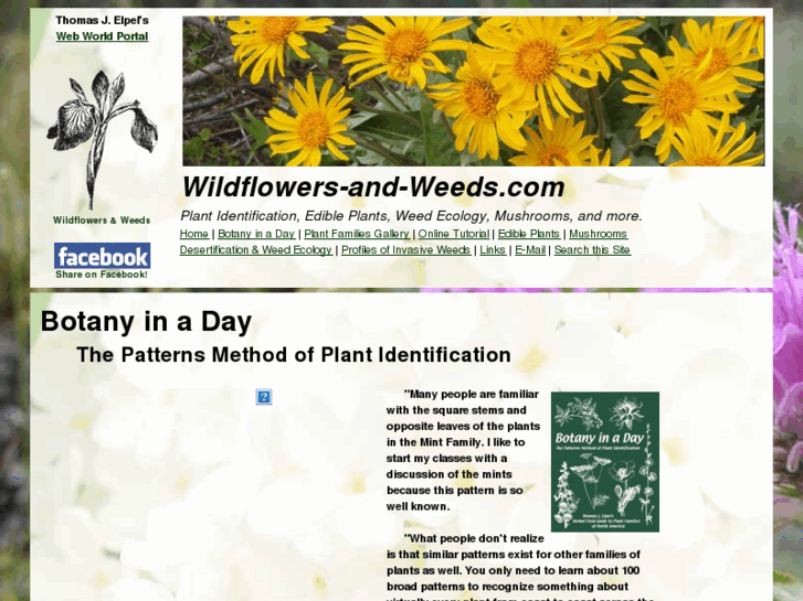 www.wildflowers-and-weeds.com