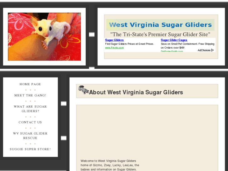 www.wvsugargliders.com