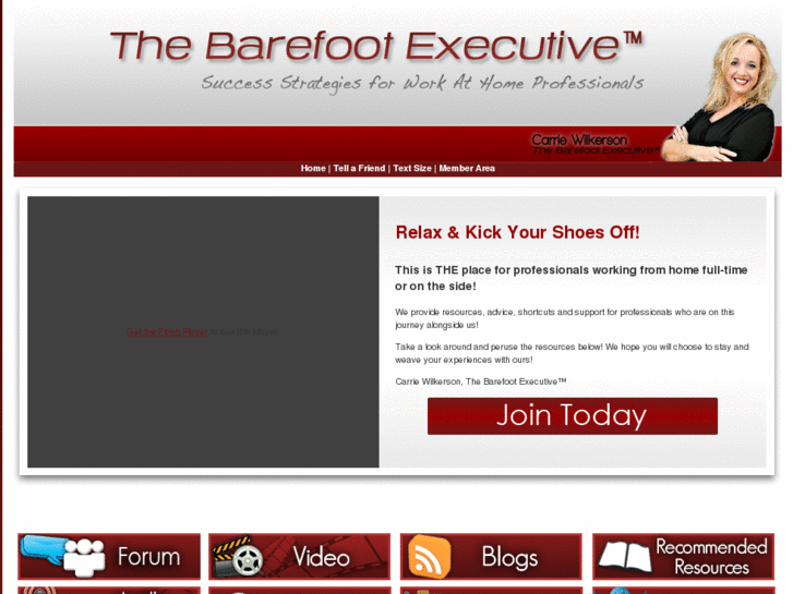 www.barefoot-ceo.com