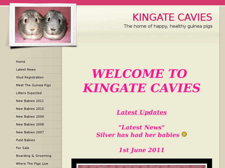 www.kingatecavies.com