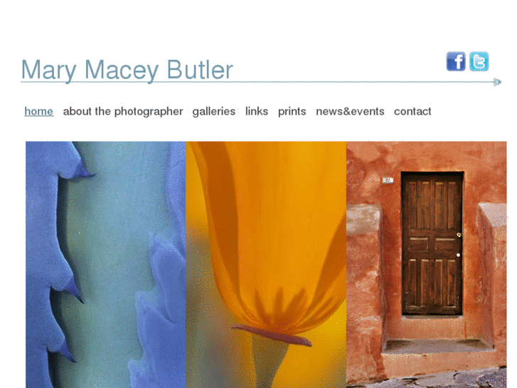 www.marymaceybutler.com