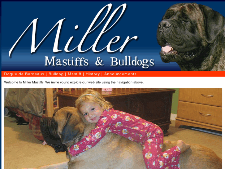 www.millersmastiffsandbulldogs.com