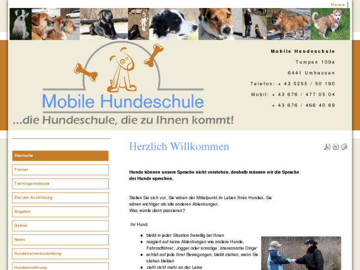 www.mobile-hundeschule.net