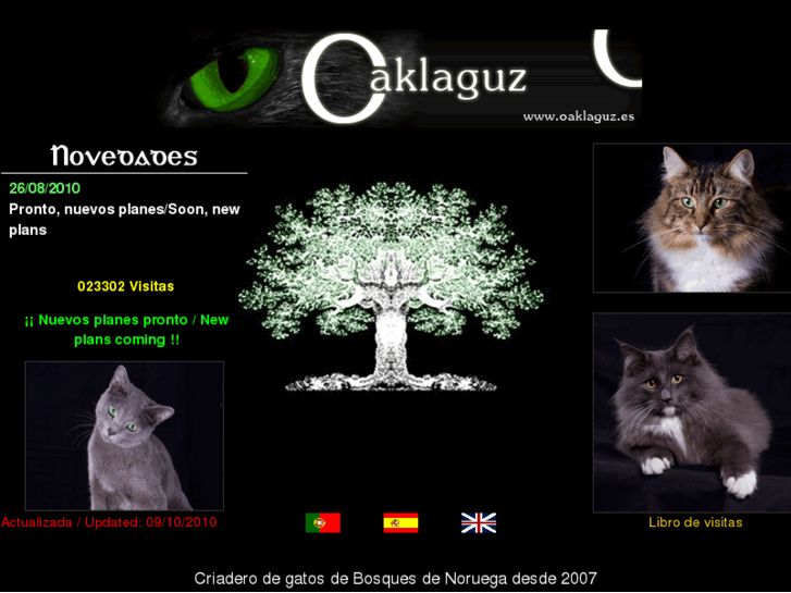 www.oaklaguz.es