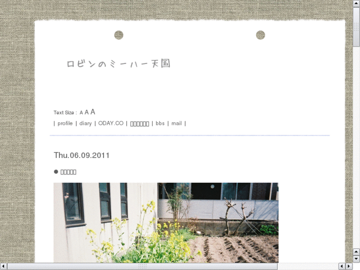 www.robinworks.net