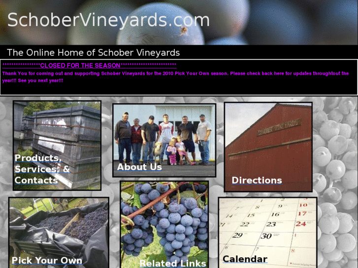 www.schobervineyards.com