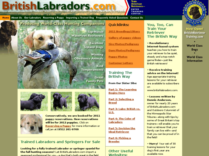 www.britishlabradors.com