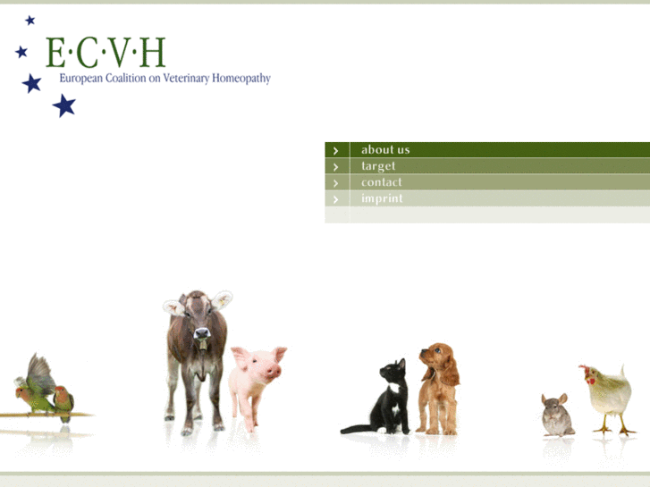 www.ecvh.org