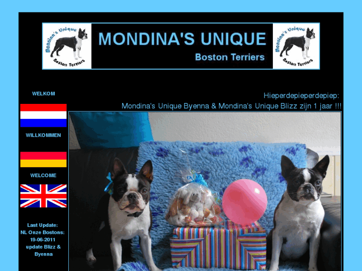 www.mondina-bostonterriers.nl