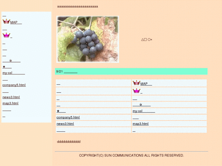 www.my-ssl.net