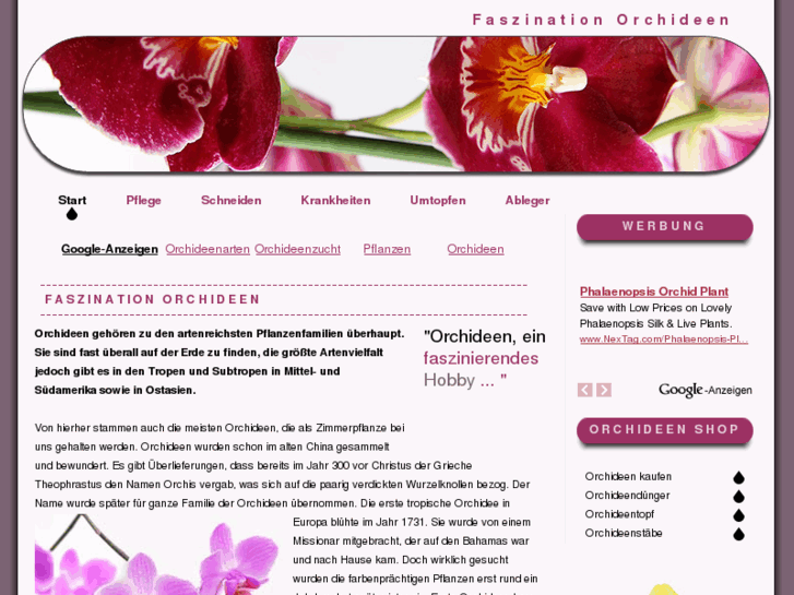 www.orchideen.eu