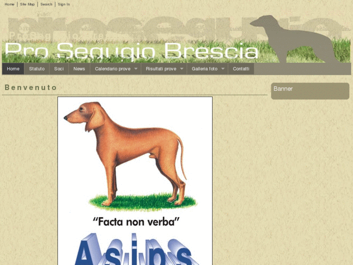 www.prosegugiobrescia.com