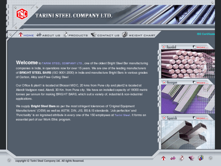 www.tarinisteel.com