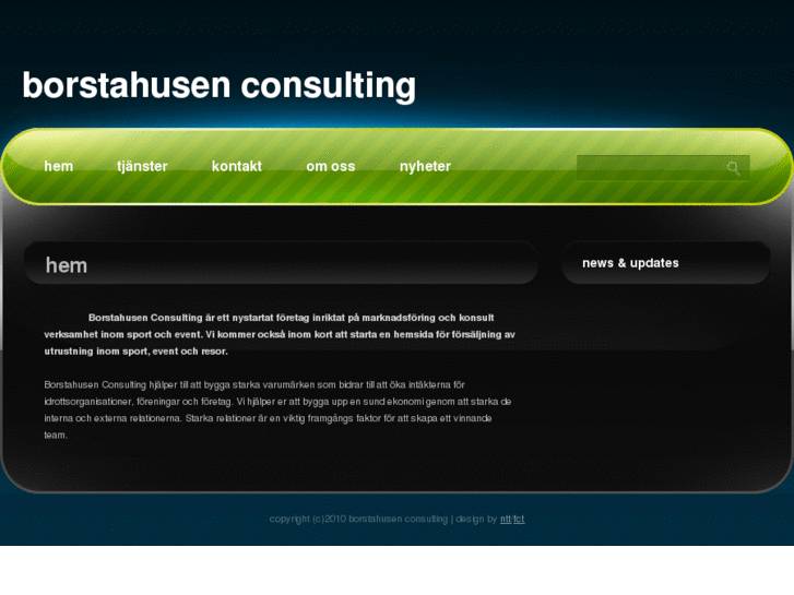 www.borstahusenconsulting.com