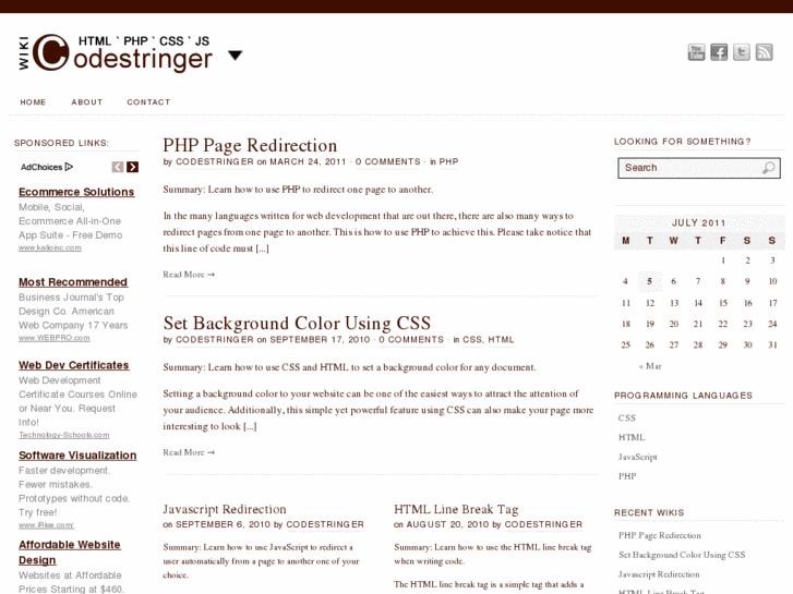 www.codestringer.com